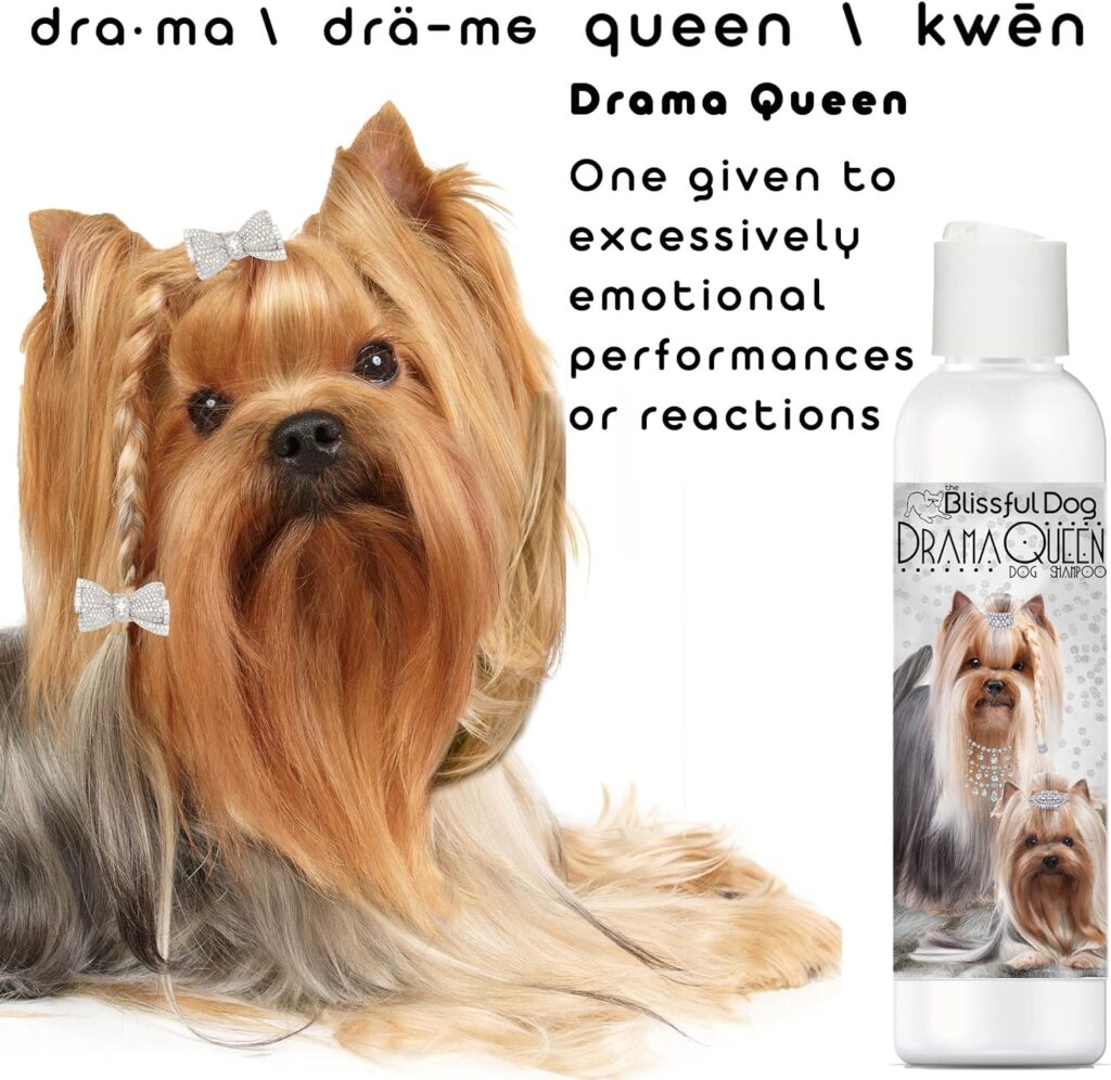 The Blissful Dog Havanese Drama Queen Dog Shampoo, 8 oz.